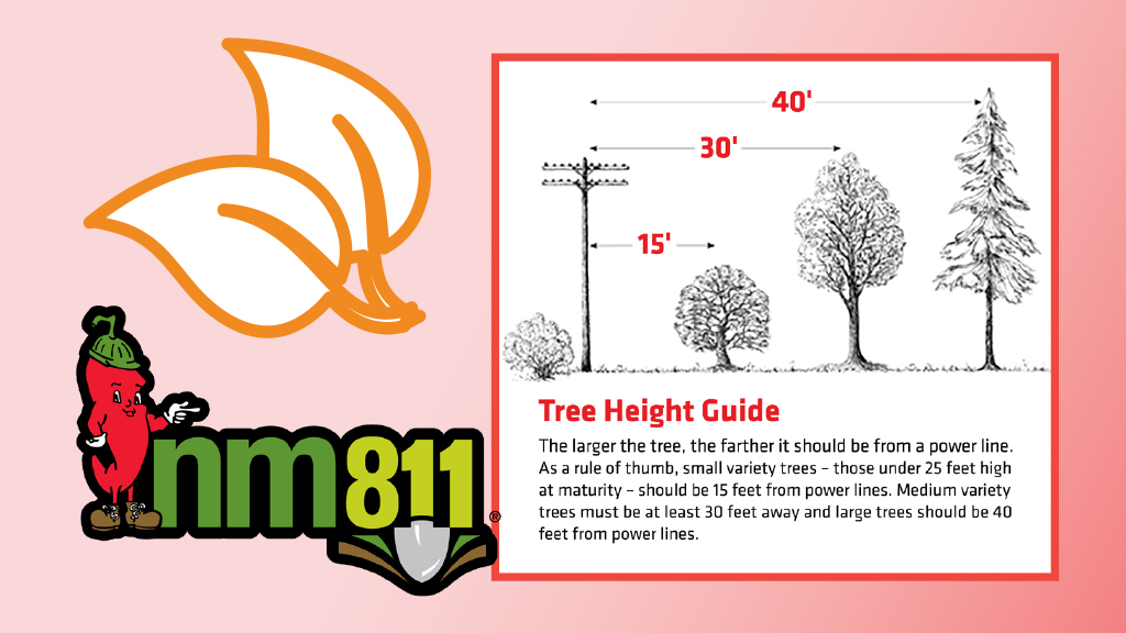 Managing Vegetation