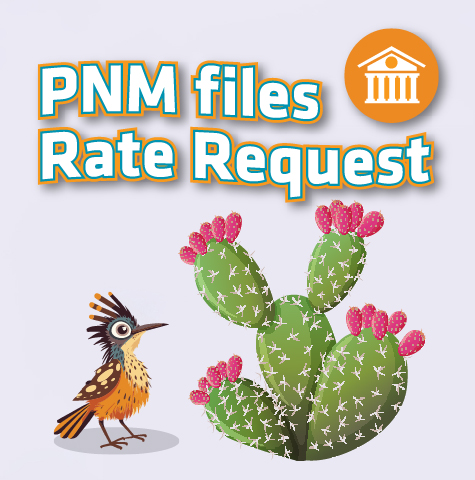 Learn about the PNM 2025 Rate Request