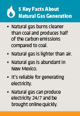 Natural Gas Pnmprod Pnm Com